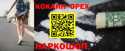 гидра Камышлов